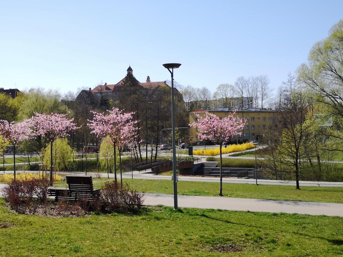 Villa Garden Paryski Olsztyn  Exterior photo